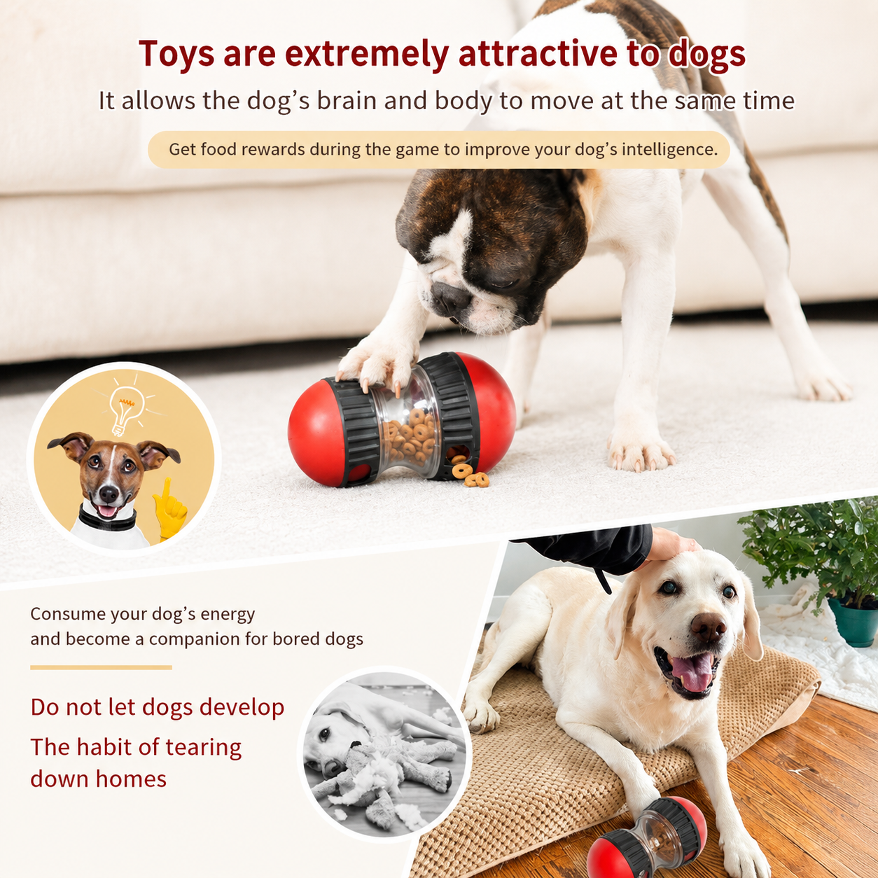 Interactive Puzzle Treat Toys for Dogs | AOXURA™