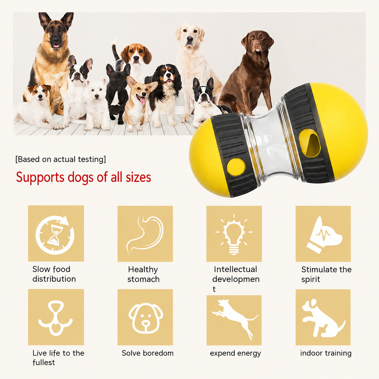 Interactive Puzzle Treat Toys for Dogs | AOXURA™