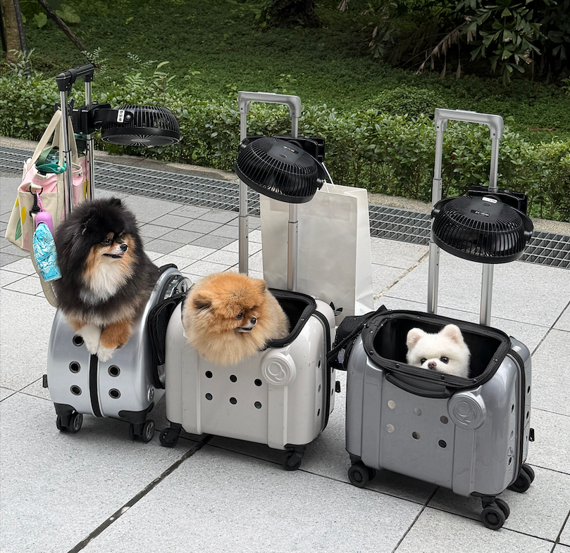 TRAVEL & OUTDOOR