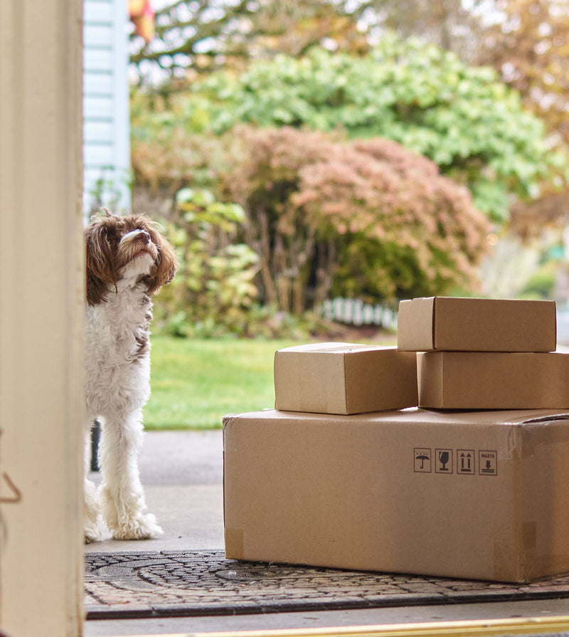 Fast & Reliable Shipping