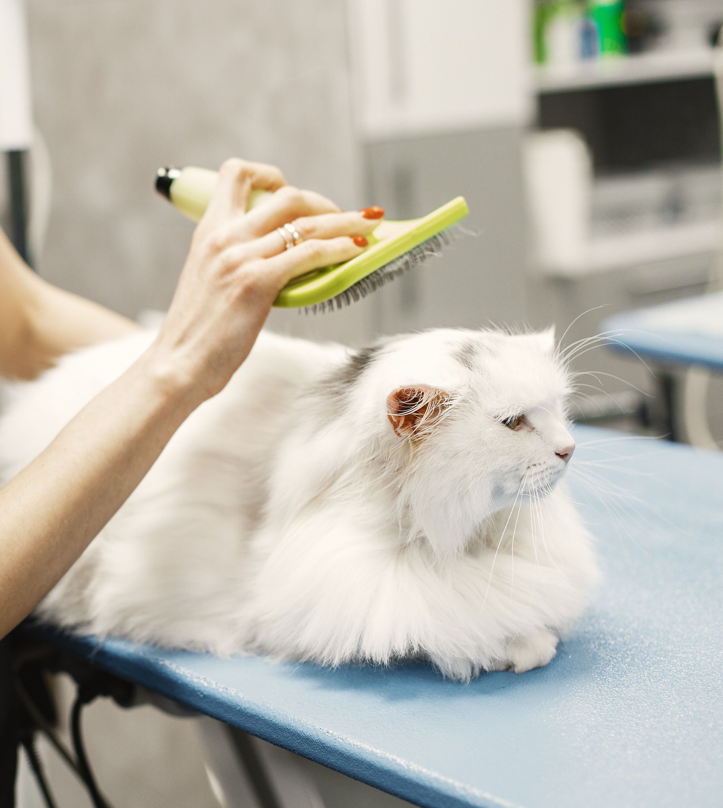 GROOMING